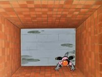 Клаустрофобии и тлена пост: Петербужские дворы-колодцы