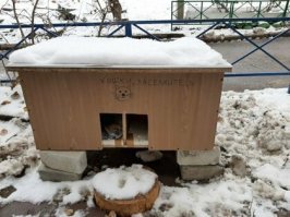 В будке для пса, для кошки, или любого другого животного зимой обязательно должны быть сено, или мягкая солома, чтобы могли себе ,,гнёздышко,, сделать для сохранения тепла, иначе могут заболеть, или сразу околеют.
Люди, любите своих питомцев!))
