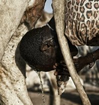 Поди расскажи ему, что мол горячей воды нет, коммунальщики охренели, за что мы платим!!!!