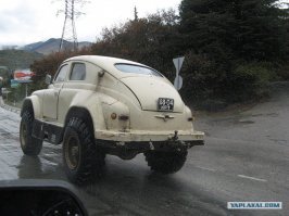 Ялта, победа лесника.