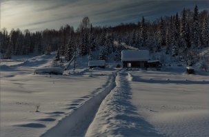 До чего дошло ....Зиму в Сибирь отправили.