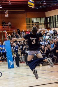 Вот кликабельная картинка, на ней уже можно рассмотреть весёлые лица многих "участников" )))