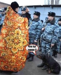 На этих мужиков в юбках даже собаки удивляются.