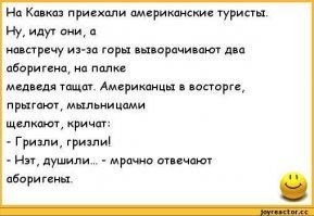 Медведь гризли объединился с волками, чтобы пережить зиму