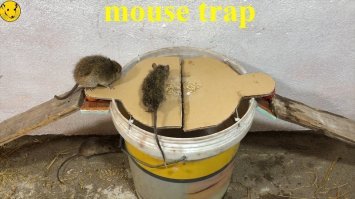 Старо как мир