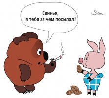 Попытка оседлать огромную шерстяную свинью