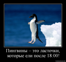 Прикольные и смешные картинки