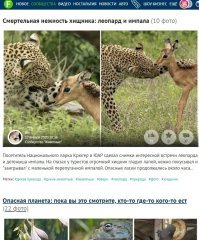 Интересная последовательность постов, так как и устроена Природа.
Уверен, наши нагулявшие жирок души после смерти, тоже жрут более развитые сущности иных планов бытия - так устроена При....
Ничего не пропадает, а только служит прокормом по цепочке
