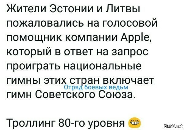 На голосовой помошник они жалуются,зато реабилитация нацизма с их точки зрения это нормально!