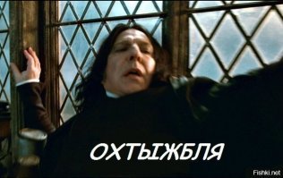 Прикольные и смешные картинки