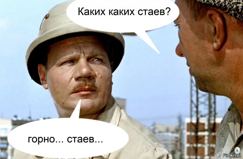 Солянка от 18.01.2020