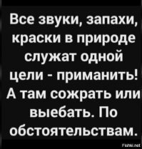 Опасная планета: пока вы это смотрите, кто-то где-то кого-то ест