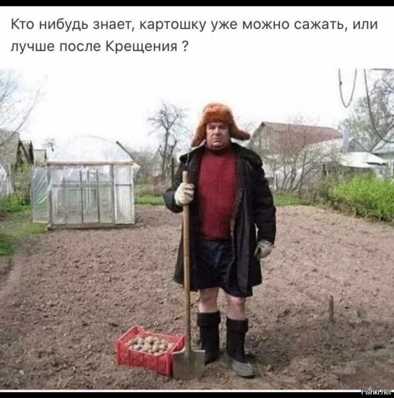 Солянка от 18.01.2020