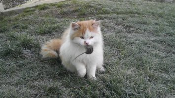 Смешные картинки