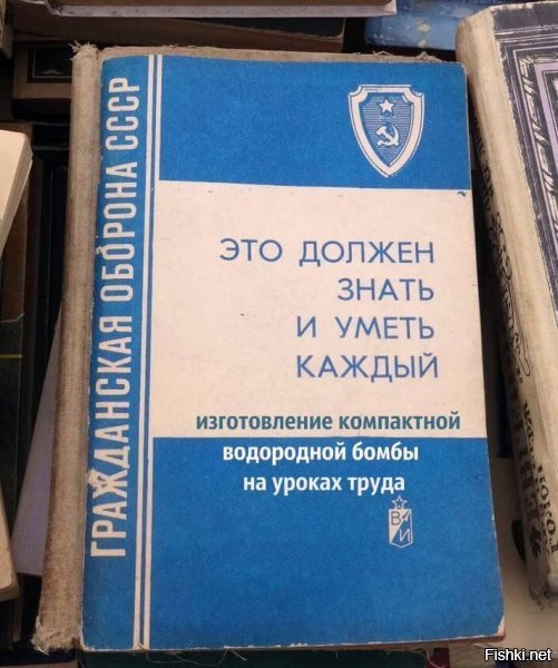 Баян, но в тему...