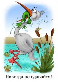 Опасная планета: пока вы это смотрите, кто-то где-то кого-то ест