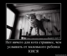 Прикольные и смешные картинки