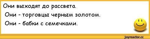 Прикольные и смешные картинки
