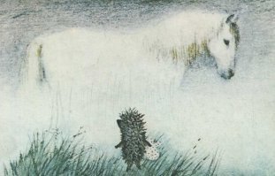 Прикольные и смешные картинки