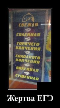 Математика, бессердечная ты сука