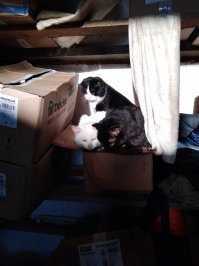 С добрым утром