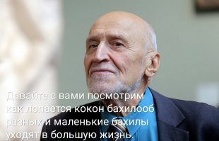 Фотоприколы