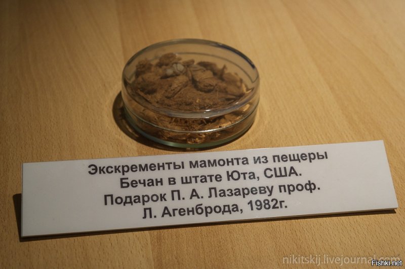 Наверно, с этим приходил?