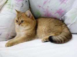 Доброе утро!