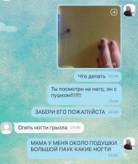 Да не ногти, а ноги у паука. 
Шестиногих пауков не бывает