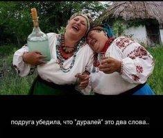 Прикольные и смешные картинки