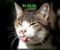 Раскрываю секретный ингредиент УМОПОМРАЧИТЕЛЬНО вкусных окорочков