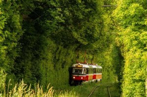 Эт не чрез Сормовский парк динозавр пробирается?)