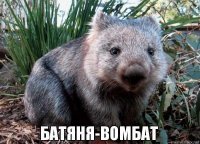 Смешные картинки из соц сетей