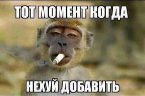 Не ищите здесь смысл, здесь в основном маразм