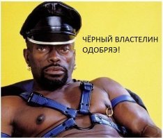 Смешные картинки из соц сетей