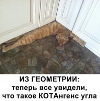 Прикольные и смешные картинки