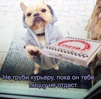 Курьер оказался слишком старым. В Краснодаре девушку возмутил возраст доставщика пиццы