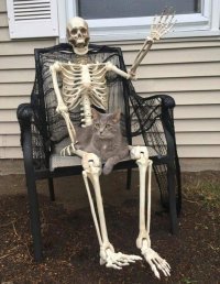 Папа оценил