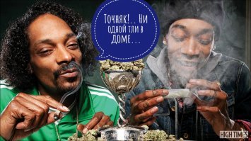 Смешные картинки из соц сетей