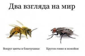 Наши реалии