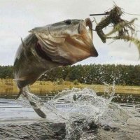 Личинка стрекозы в маскировочном костюме выскочила из засады и стреляет из охотничьего ружья в глаз рыбе?