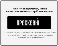 Эглет, колливубл и другие слова, знанием которых можно блеснуть в компании