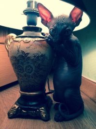 Ну как зачем?