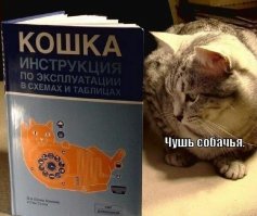 " Кошкина азбука "