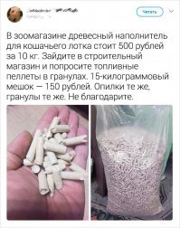 26 способов облегчить себе жизнь для котовладельцев