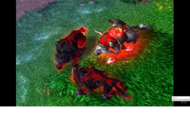 Медведь гризли объединился с волками, чтобы пережить зиму