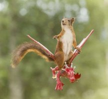 вот они приземляются!