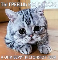 Прикольные и смешные картинки