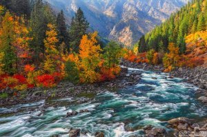 Круть! На Алтае в горах, во время золотой осени тоже очень красиво.