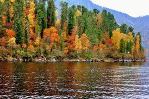 Круть! На Алтае в горах, во время золотой осени тоже очень красиво.